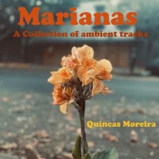 Marianas (A Collection of Ambient Tracks)