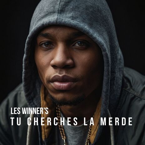 Tu cherches la merde | Boomplay Music