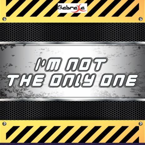 I'm Not the Only One | Boomplay Music