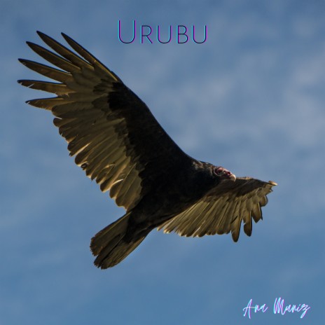 Urubu ft. REC'n'Play | Boomplay Music