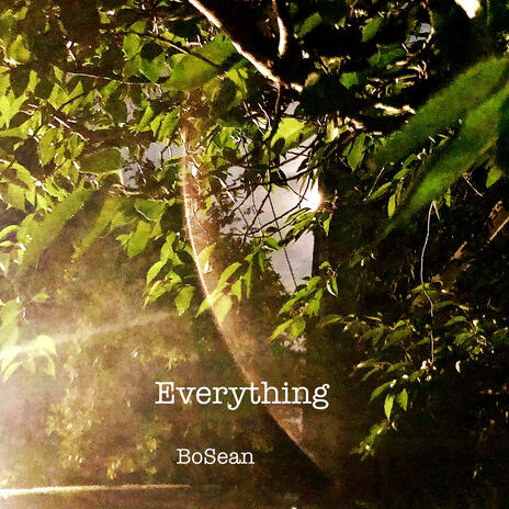 Everything | Boomplay Music