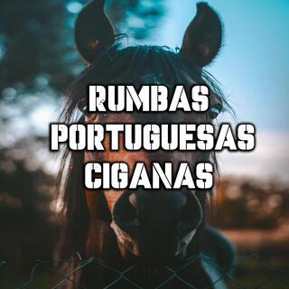 RUMBA PORTUGUESA CIGANA 2024 (DJ TIAGO CIGANO)