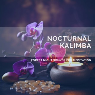 Nocturnal Kalimba: Forest Night Sounds for Meditation