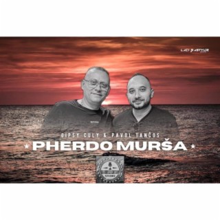 Gipsy Culy Pherdo mursa