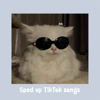 Sped up TikTok Songs | Sped up Orinn #37
