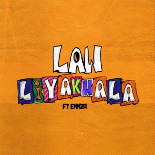 Liyakhala (feat. Emmza) lyrics | Boomplay Music