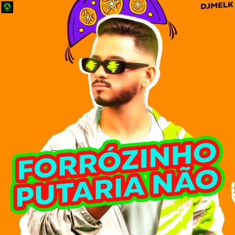 Forrózinho Putaria Não ft. Alysson CDs Oficial | Boomplay Music