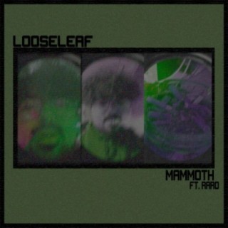 Looseleaf