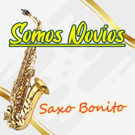 Somos Novios (Cover) | Boomplay Music