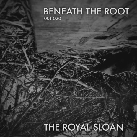 Beneath The Root Thirteen