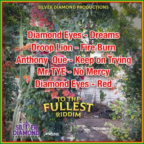 Dream ft. Silver Diamond | Boomplay Music