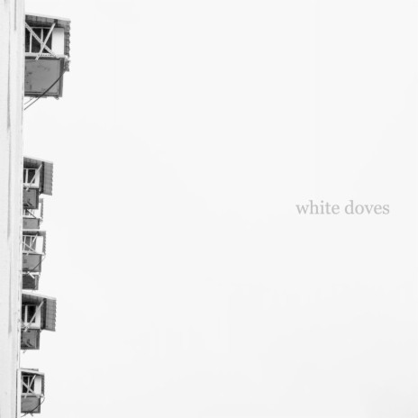 White Doves | Boomplay Music