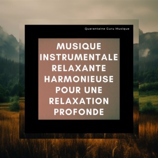 Musique instrumentale relaxante harmonieuse pour une relaxation profonde