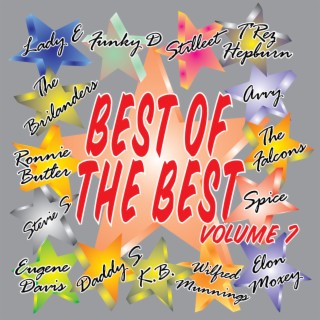 Best Of The Best, Vol. 7