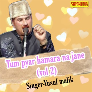 Tum Pyar Hamara Na Jane Vol 02