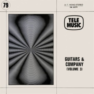 Guitars & Company - Volume 3