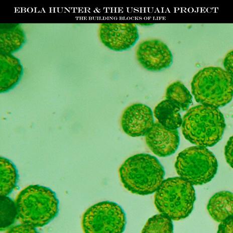 Ediacaran Biota ft. The Ushuaia Project | Boomplay Music