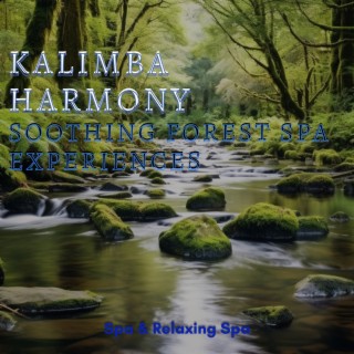 Kalimba Harmony: Soothing Forest Spa Experiences