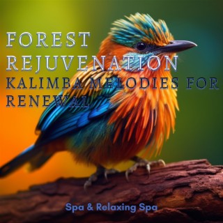 Forest Rejuvenation: Kalimba Melodies for Renewal