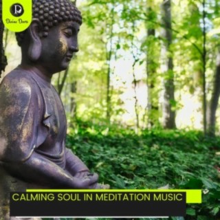 Calming Soul in Meditation Music