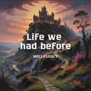 Life we had before lyrics | Boomplay Music