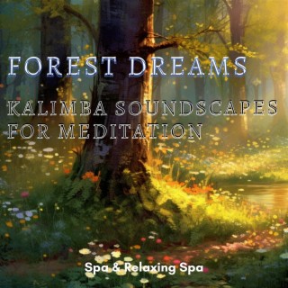Forest Dreams: Kalimba Soundscapes for Meditation