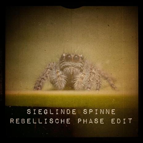 Sieglinde Spinne (Rebellische Phase Edition) | Boomplay Music