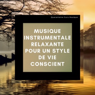 Musique instrumentale relaxante pour un style de vie conscient