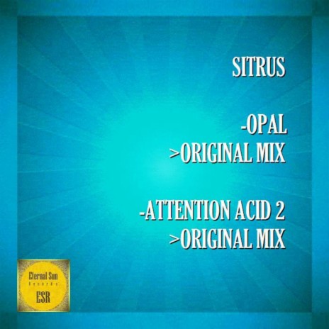 Attention Acid 2 (Original Mix)