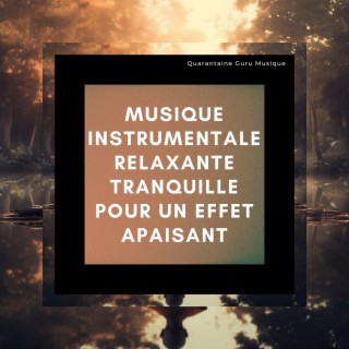 Musique instrumentale relaxante tranquille pour un effet apaisant