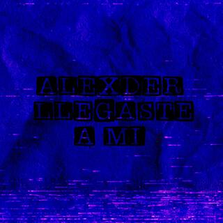 Llegaste Ami