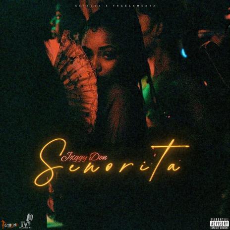 Señorita | Boomplay Music