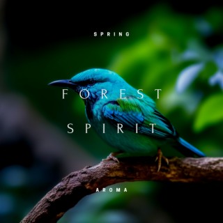 Forest Spirit: Relaxing Kalimba Melodies for Spa Moments