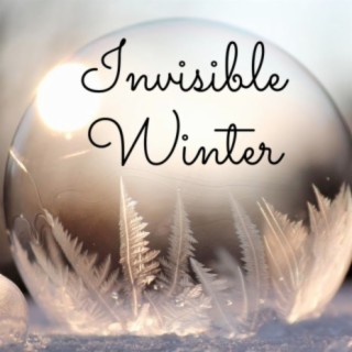 Invisible Winter