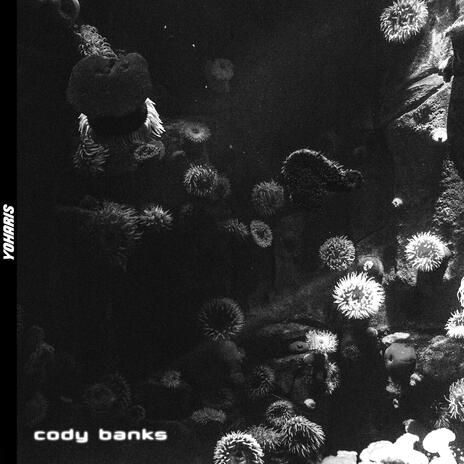 CODY BANKS | Boomplay Music