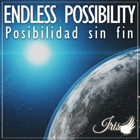 Endless Possibility (From Sonic Unleashed) (Spanish Cover) ft. Lufca | Boomplay Music