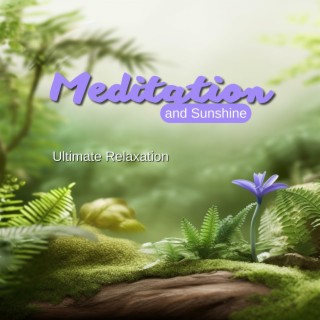 Meditation and Sunshine: Ultimate Relaxation