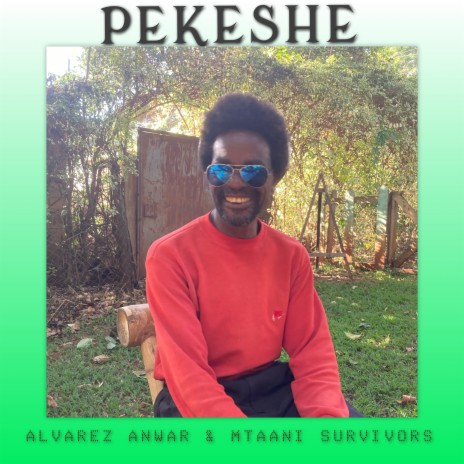 Pekeshe ft. The Mtaani Survivors | Boomplay Music