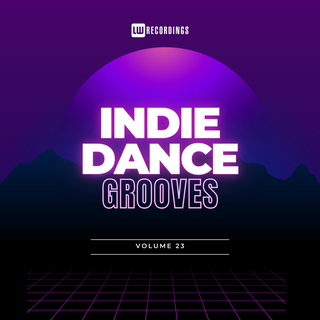 Indie Dance Grooves, Vol. 23