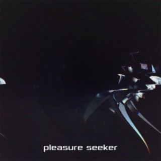 Pleasure Seeker
