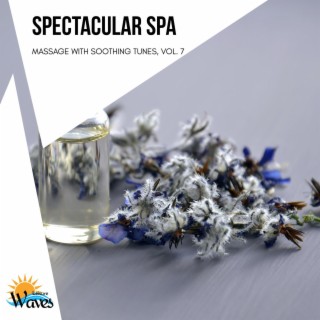 Spectacular Spa - Massage with Soothing Tunes, Vol. 7