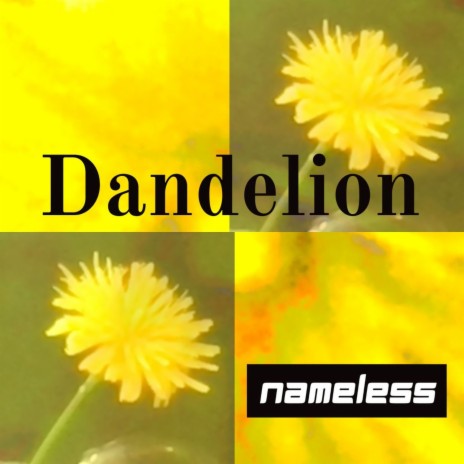 Dandelion | Boomplay Music