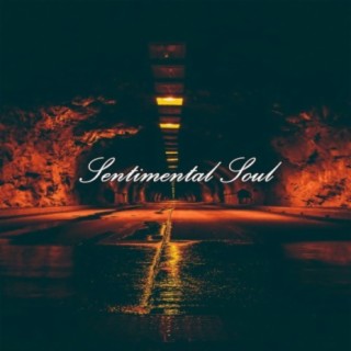 Sentimental Soul (Instrumental)