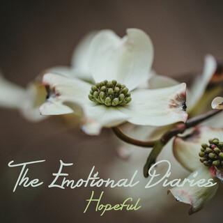 The Emotional Diaries: Hopeful