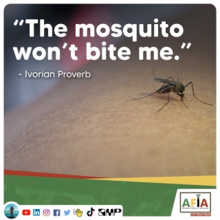 Their Mosquito Won’t Bite Me | African Proverbs | AFIAPodcast