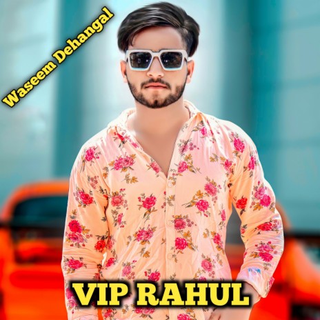 Vip Rahul (Mewati) | Boomplay Music