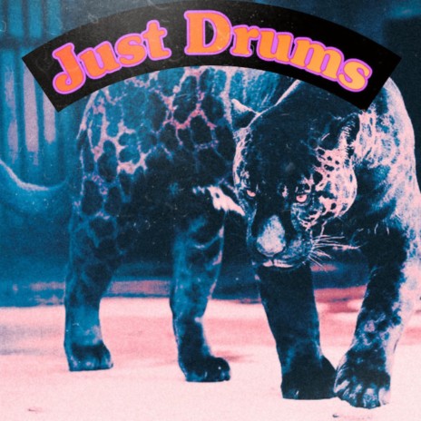 Just Drums