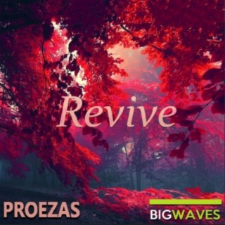 Revive