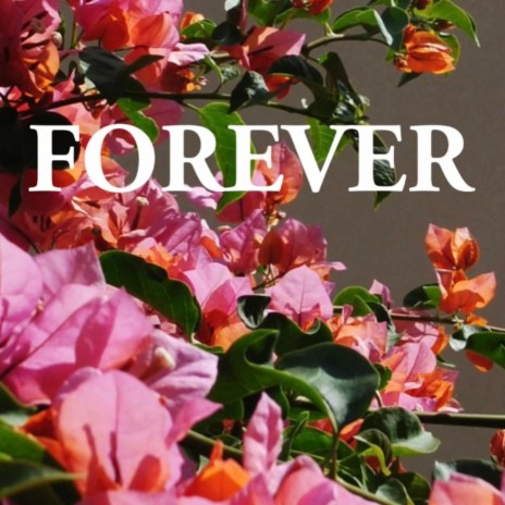 Forever | Boomplay Music