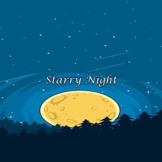 Starry Night (Lofi Beats)